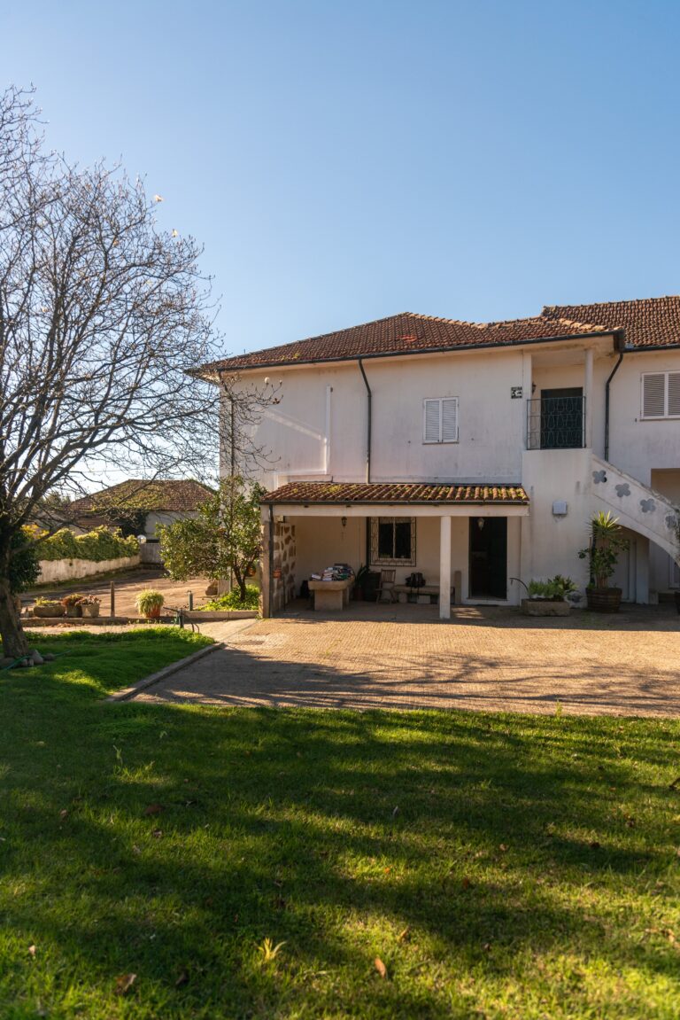 20241223-aColmeiaPortugal-006 (1)