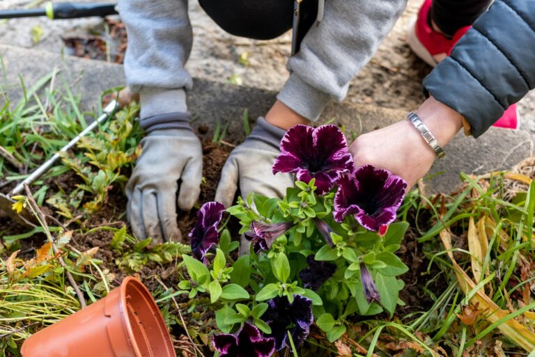 20250323_Caminho_Gardening_Workshop_041