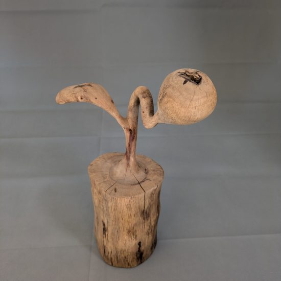 Peça Artesanal Orgânica